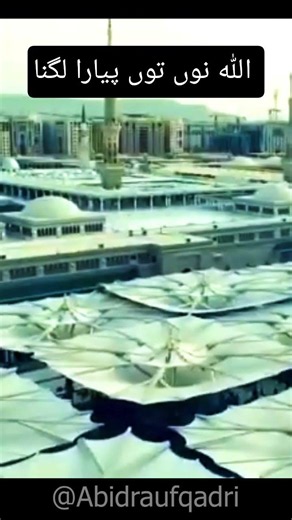 Habiba Uchi Shan Walya #naat #naats2026 #shortsvideo