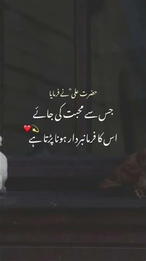 Short Hadith of the Day | Words of Prophet Muhammad ﷺ❤️❤️#fyp