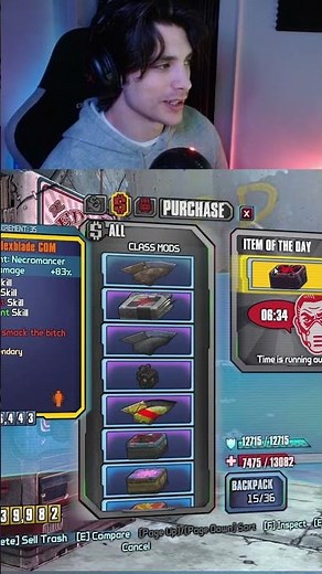 This Mod is INSANE in Borderlands 2