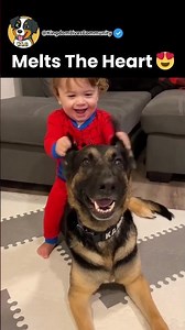 These Dogs Will Protect Their Humans Babies For Life 😍