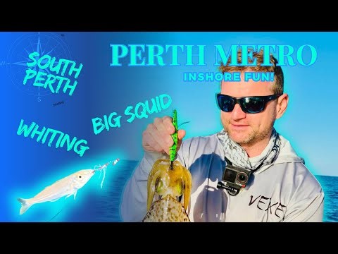 Perth Metro Inshore | Big Squid & Whiting 🦑