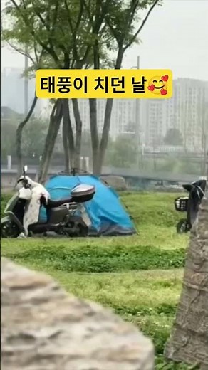 텐트 안에 태풍이 불면~~~ #쇼츠 #funny #눈요기 #태풍주의보