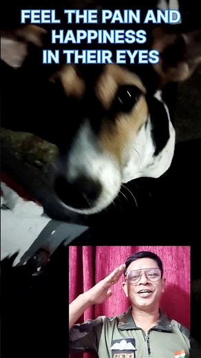 SERVING DOG IS SERVING GOD TOO