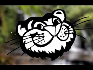 Year 6: Leavers Assembly 2016