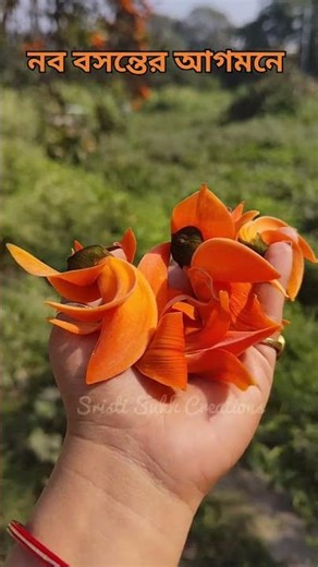 পলাশ বাগান#trendingshorts #travel #spring