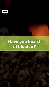 🔥🪵 Have you heard of biochar? It's a waste product turned edible charcoal and it is full of carbon. ​ Biochar can also be used as a pharmaceutical ingredient, as a road building material and as concrete for bricks. 💊🛣🧱 ​ A growing number of agricultural companies are investing in technology to create the carbon rich product that can cut greenhouse gas emissions and improve soil. ​ 📺 Watch #ABCLandline on Sundays at 12.30pm on ABCTV or iview: https://bit.ly/LandlineABCiview | Create an ABC 