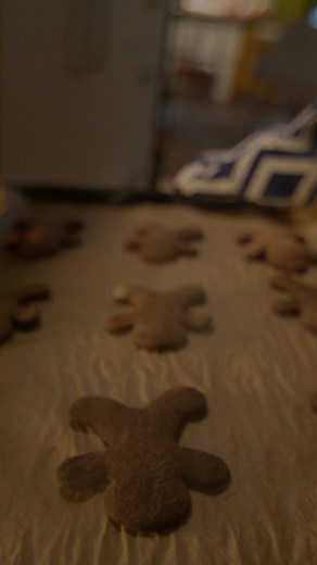 Jak jsem se pokusila o perníčky a vytvořila perníkovou chaloupku