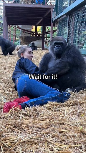 #Babo #baby | Logan Zachary