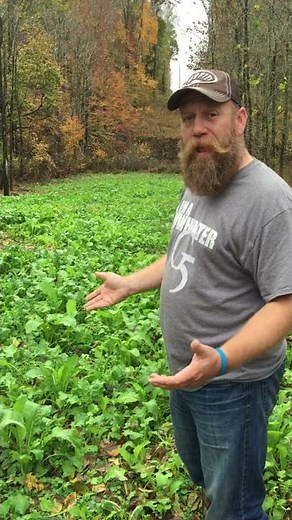 throw and grow food plot tutorial