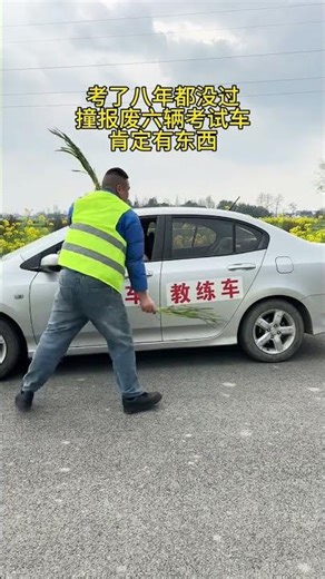 Can You Get a Driver's License? A Hilarious Look at Branch Usage