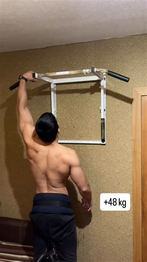 ᴠɪᴋᴛᴏʀ ʟᴀɴɢ on Instagram: "+48 kg 8/8/8 Personal coaching and training programs in DM #pull-ups #strength #aesthetic #motivation #streetlifting"