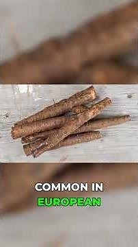 Plant Once, Harvest Forever? Salsify Explained #gardening #seeds