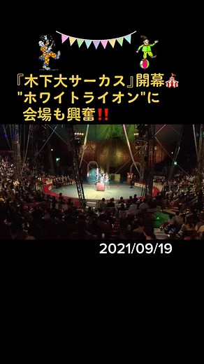 #木下大サーカス #ホワイトライオン #世界猛獣ショー #コロナ対策 #愛知 #豊川 #ニュースOne #tiktokでニュース #9月19日