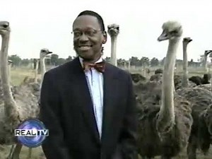 Real TV wild animals