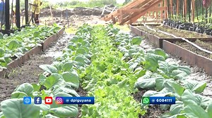 1.7K views | Climate-smart agri training for women and youth. | Department of Public Information | Facebook