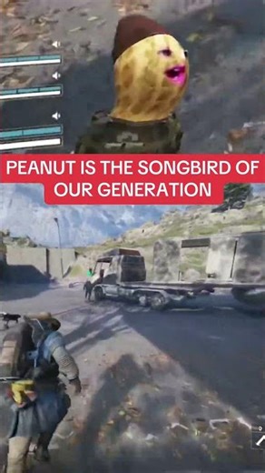 Peanut is our generations song bird for sure! Do you just hear these amazing singing! #fyp #peanut