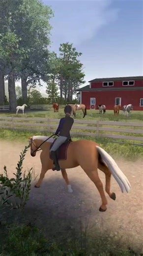 Obsessed with all the horses😍