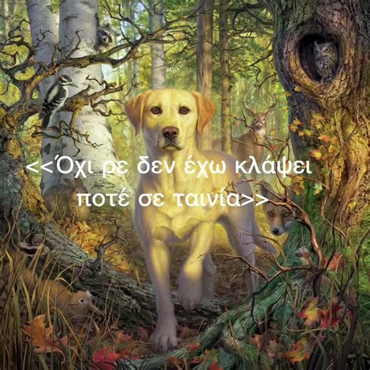 Labrador Retriever Adventures in a Dense Forest