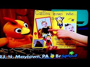 Lucas 2nd Bday Sprout.MOV