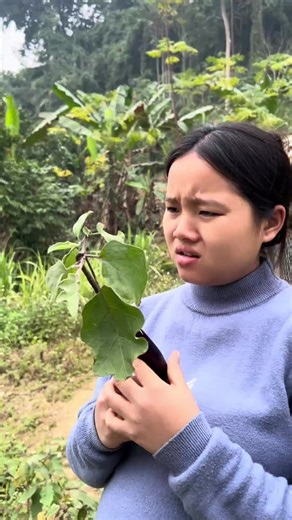 17-Year-Old Single Mother Harvesting Eggplants
