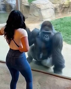 30 Terrifying Cases of Animals Dangerously Challenging Other Animals Caught on Camera 🐺vs🤴 | Animals Lover