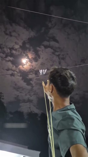 visual tension #meep #cat