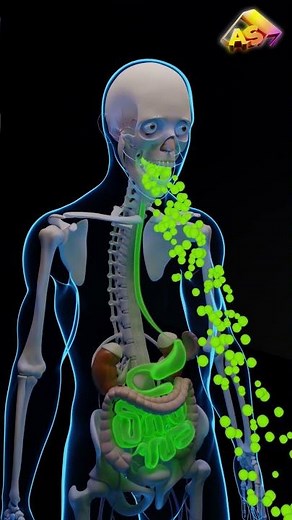 What is Vomit?? 3D ANIMATION #3danimation #hindi #3d