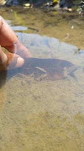 2.2K views · 15 reactions |  | Unity Farm | Facebook