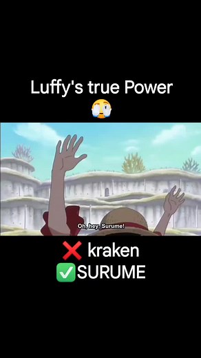 Luffy and Surume's Adventure in One Piece | Anime Highlights