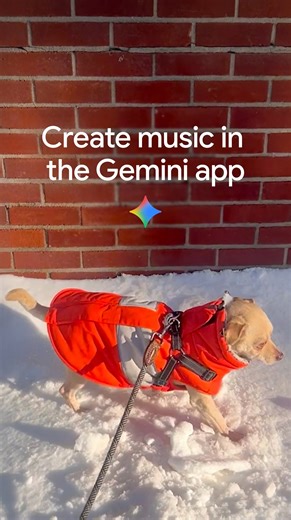 Every pet needs a theme song 🐾 Upload a clip to the Gemini app select Create Music to make their track. | Google