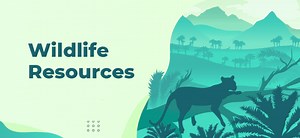 Wildlife Resources in India - UPSC - UPSC Notes » LotusArise