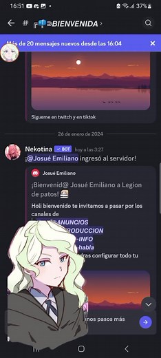 tutorial para verificar tu cuenta en discord