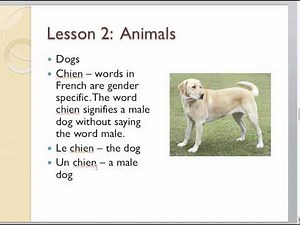 Louisiana Cajun French lesson One