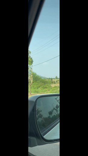 Scenic Drive: Captivating Views from the Car Dashboard