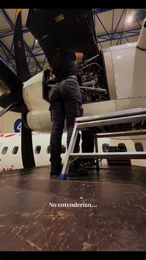 Mecánico de Aeronaves: El Arte de la Aviación