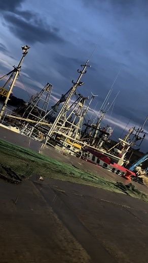 #fyp #trawler #fishing #fishinglife #harbour #nets #boat