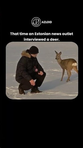 When a News Station Interviewed a Deer