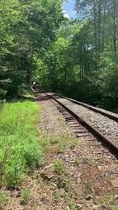 7M views · 23 reactions | Goodness, what a sound! #SteamOfTheSmokies | Great Smoky Mountains Railroad | Facebook