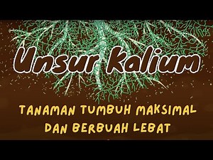 Understanding Potassium (K): The Importance of Potassium Nutrients in Plant Growth