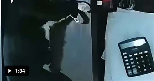 Cats Helping Humans - Video