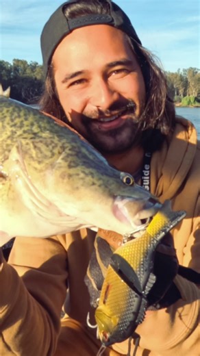 Murray River Swimbaiting: Explore Yellowbelly Fishing