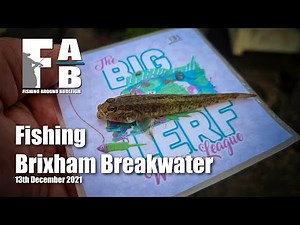 LRF Fishing at Brixham - December 13th 2021