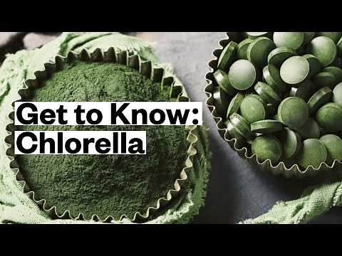 What is CHLORELLA + How to Use It | Thrive Market
