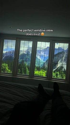 The Perfect Christmas gift! 😉 #projector #fakewindow #viral #christmasgiftideas