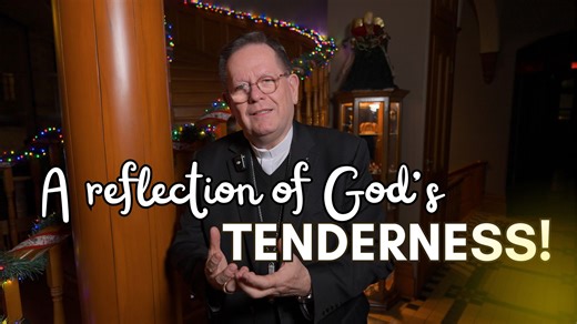 Through the magic of video, Cardinal Gérald C. Lacroix comes to us with a heart full of gratitude and hope. The year that is coming to an end has been marked by many challenges, both in society and in the Church. These trials can sometimes shake our hope... but Christmas reminds us of an essential truth: God is close to us. What if, in the fragility and tenderness of the Child in the manger, we find the courage to move forward? The Archbishop of Quebec addresses a special message to young people