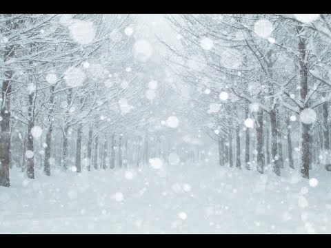 (シャンソン）雪が降る 歌：向井智子