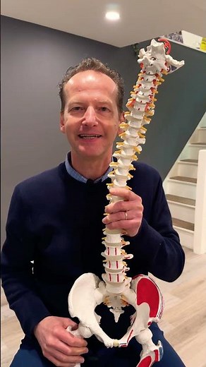 Pelvis turns in walking #gait #walking #hiphealth #spinewellness