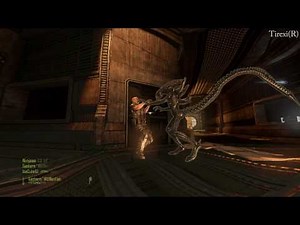 Aliens vs Predator - Multiplayer Gameplay