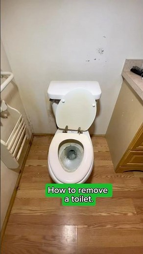 🪠 How to remove a toilet