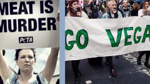 Here's why we need to rethink veganism